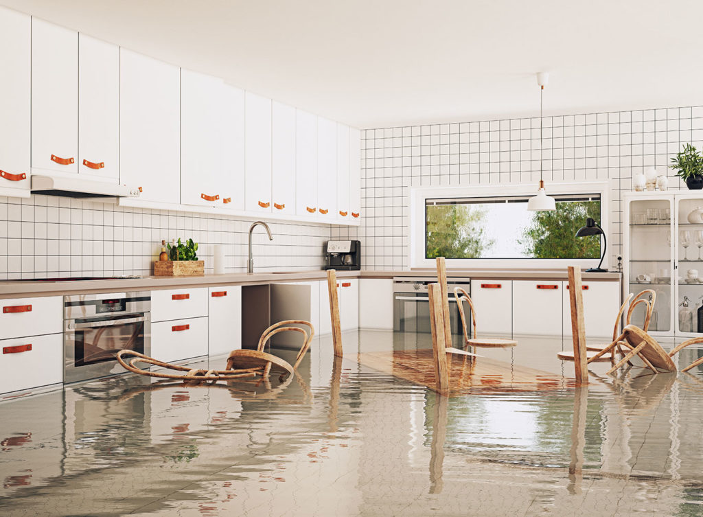 flood insurance collinsville illinois